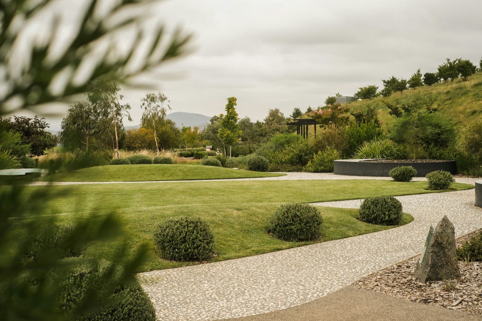 A manicured lawn with shrubs and trees
