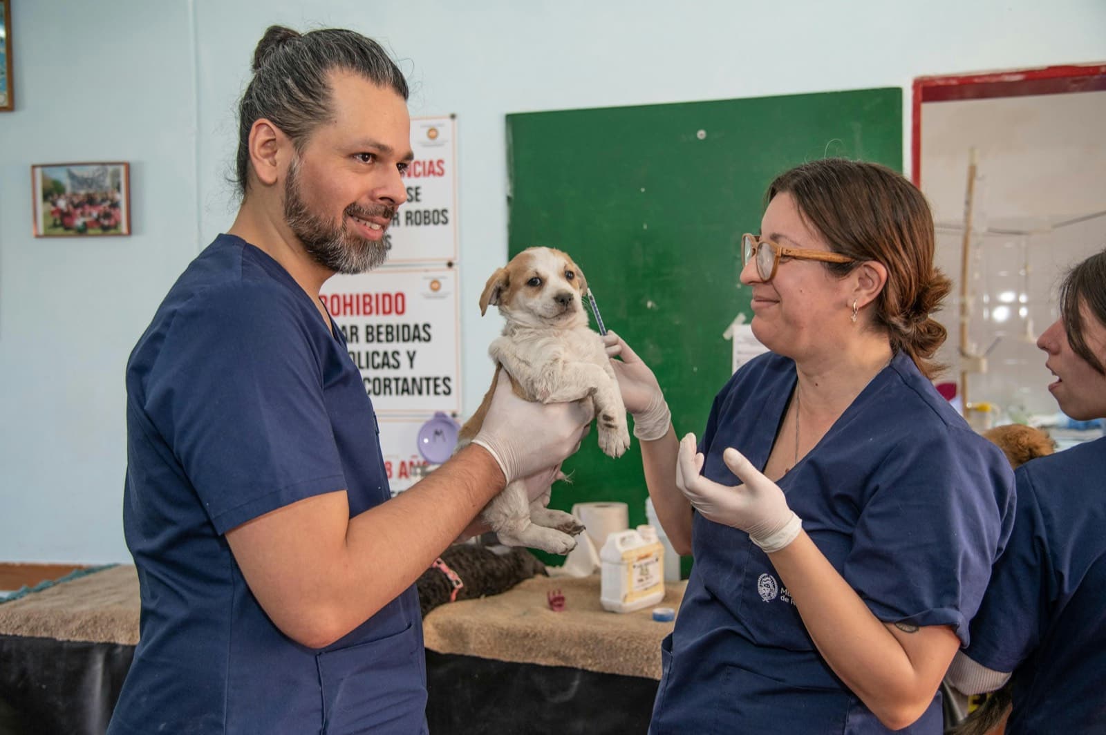 A veterinarian holding a small dog
